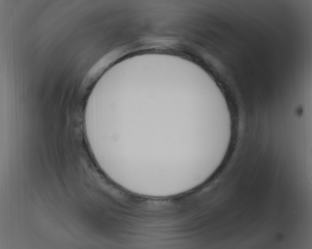 X0000115811354200912241905