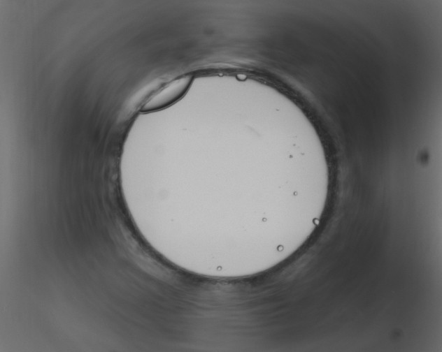X0000115811355200912241905