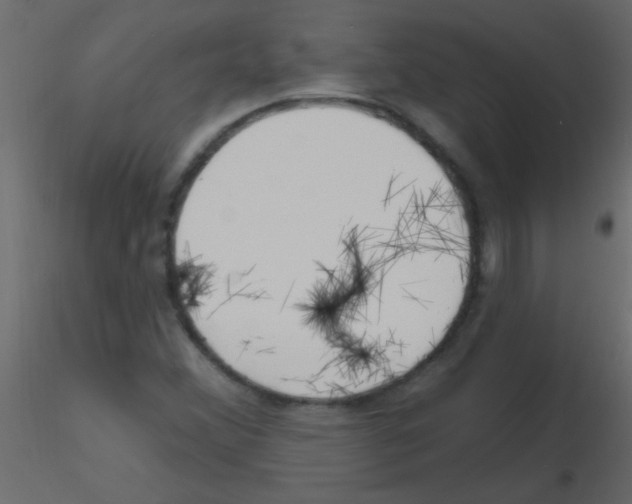 X0000115811356200912241905