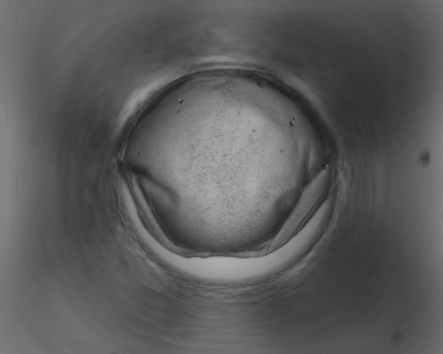X0000115811357200912241905