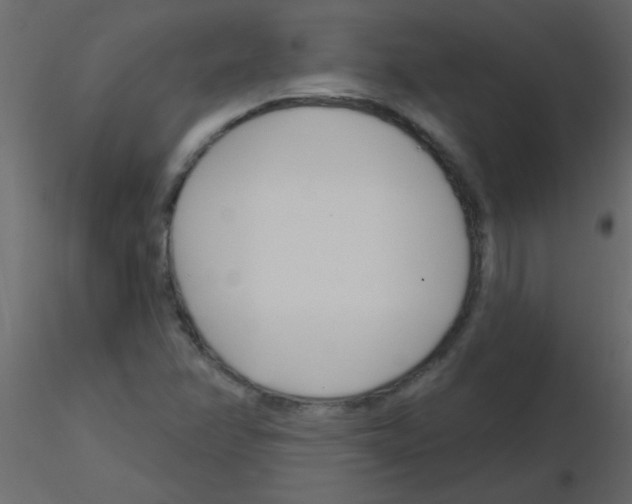 X0000115811358200912241905