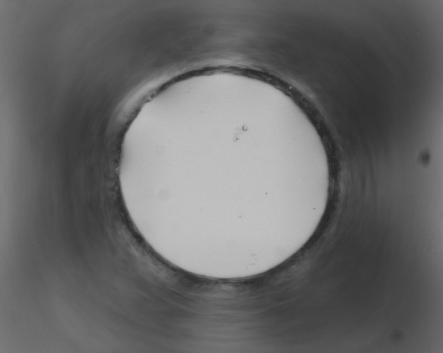 X0000115811359200912241905