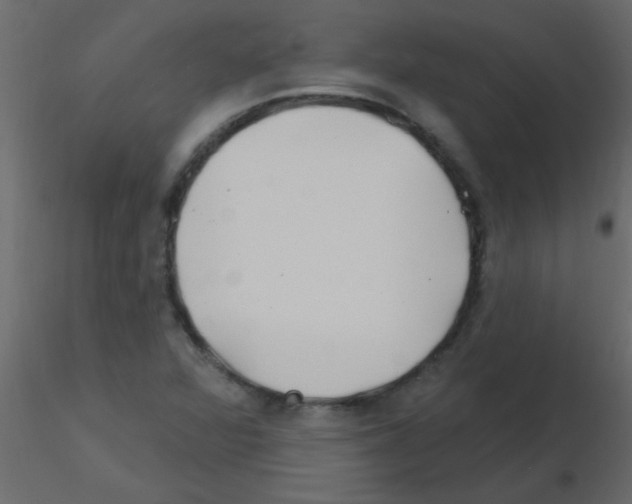 X0000115811360200912241905