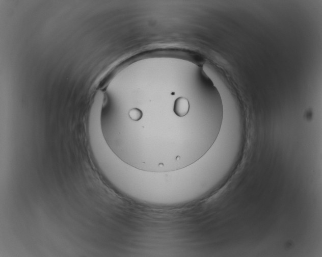 X0000115811361200912241905