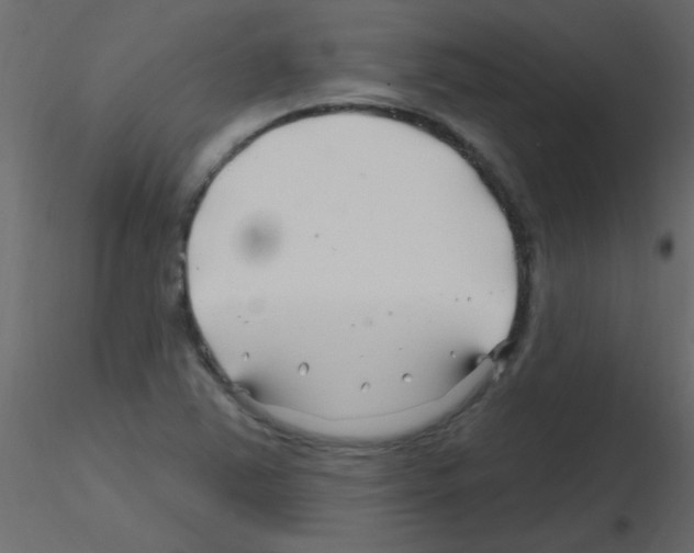 X0000115811363200912241905