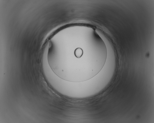 X0000115811364200912241905