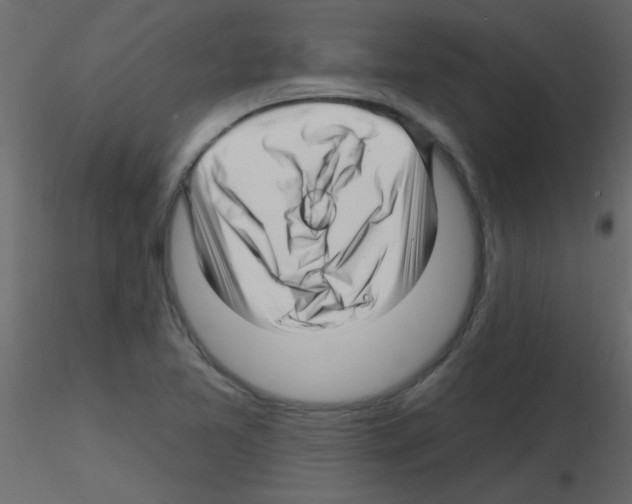 X0000115811365200912241905