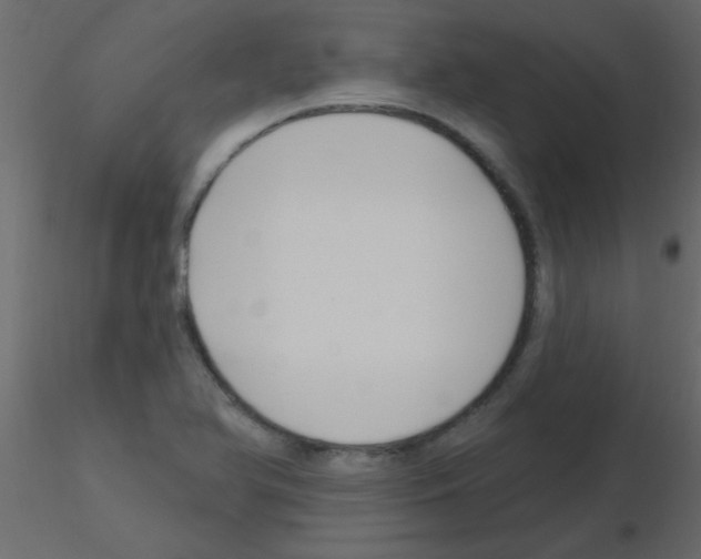 X0000115811366200912241905