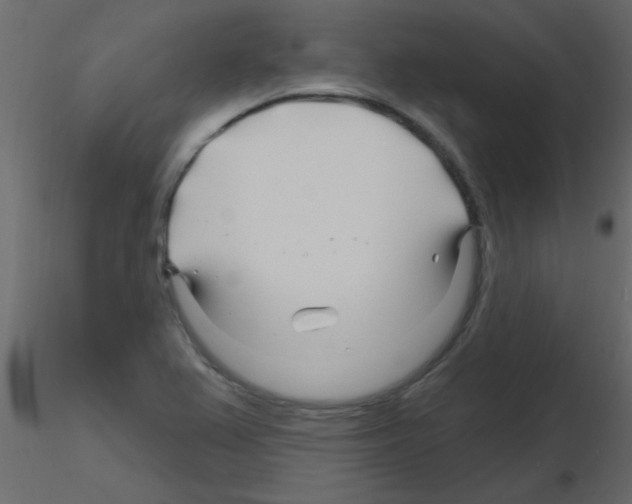 X0000115811367200912241905