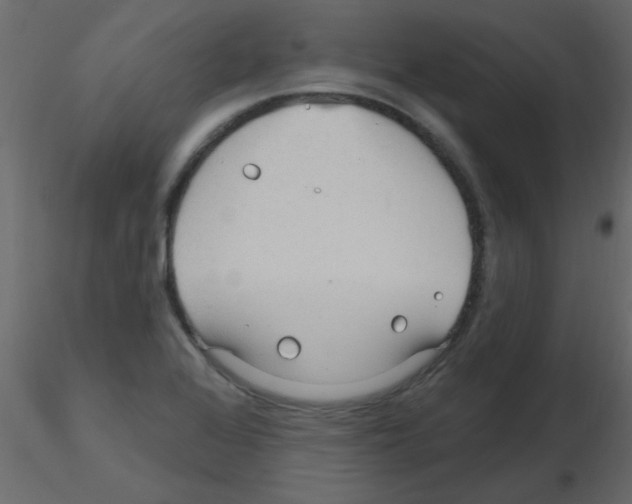 X0000115811368200912241905