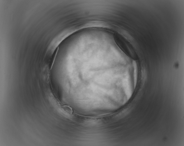 X0000115811369200912241905