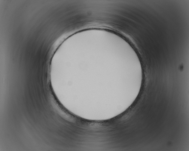 X0000115811371200912241905