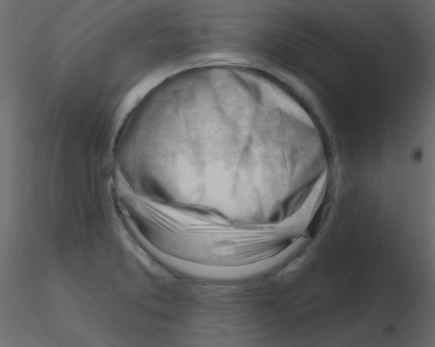 X0000115811373200912241905
