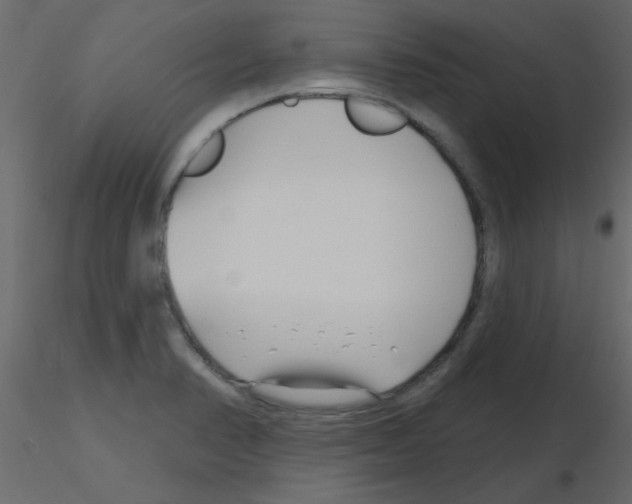 X0000115811374200912241905