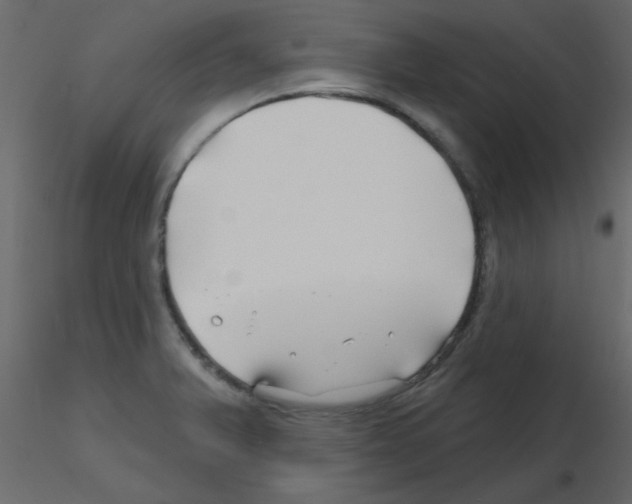 X0000115811375200912241905