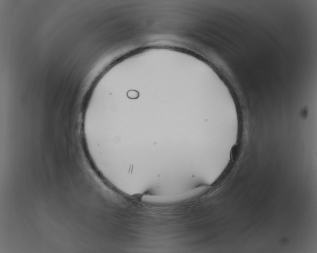 X0000115811376200912241905