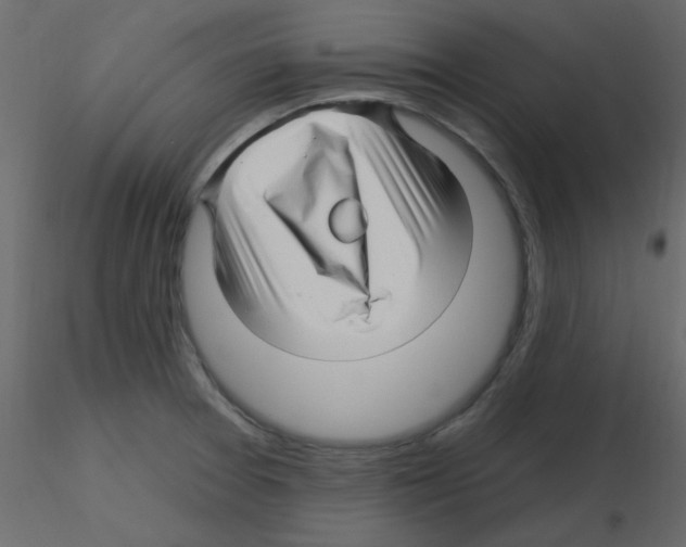 X0000115811377200912241905