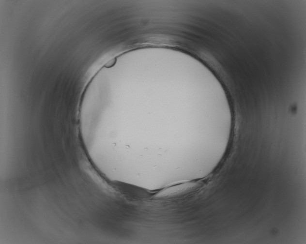 X0000115811378200912241905