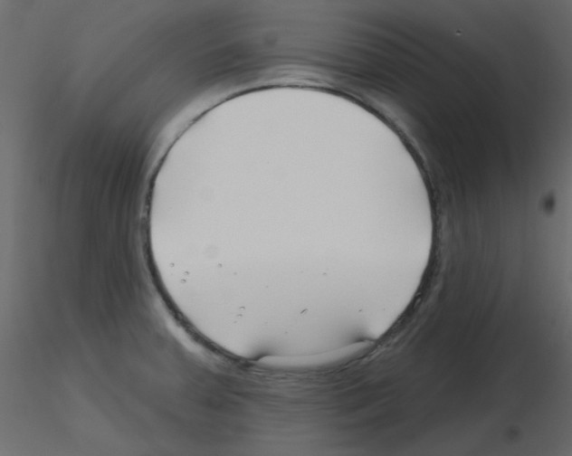 X0000115811379200912241905