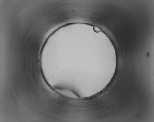 X0000115811380200912241905