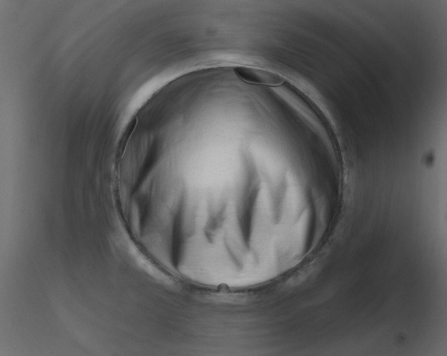 X0000115811381200912241905