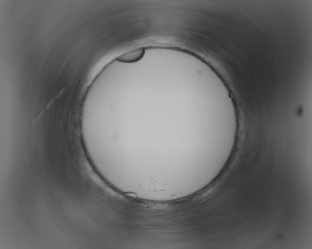 X0000115811382200912241905