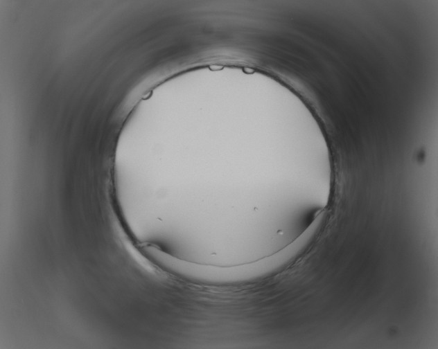 X0000115811383200912241905