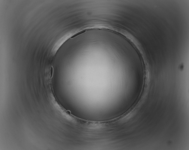 X0000115811385200912241905