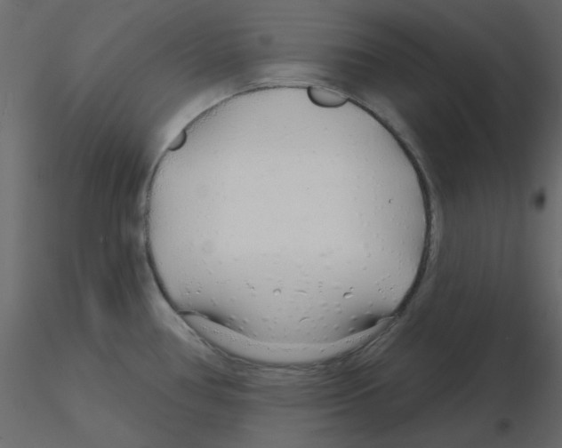 X0000115811386200912241905