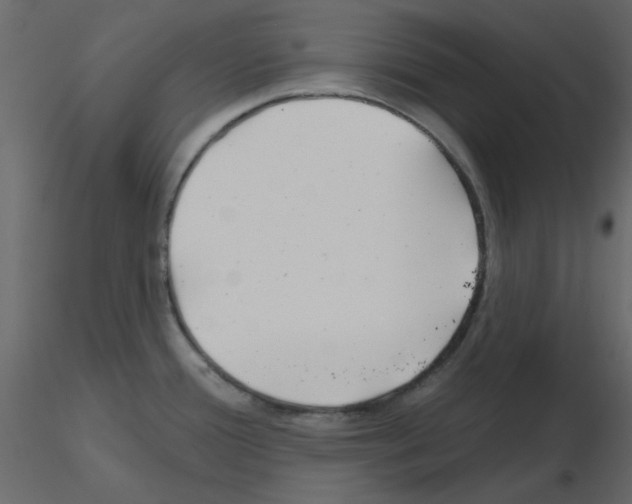 X0000115811388200912241905