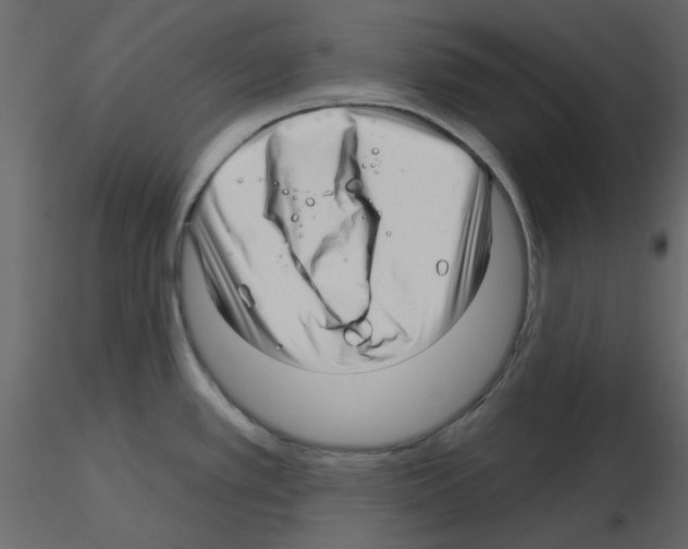 X0000115811389200912241905