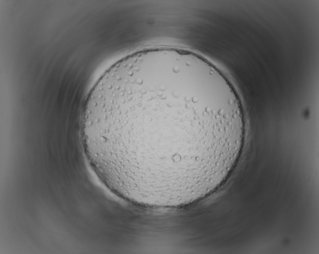 X0000115811390200912241905