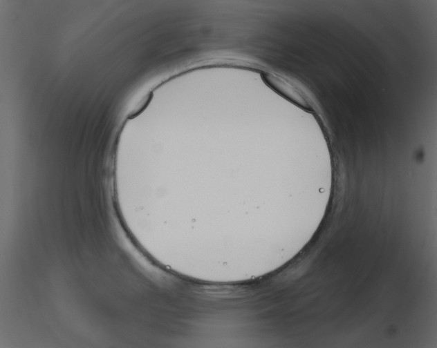 X0000115811391200912241905