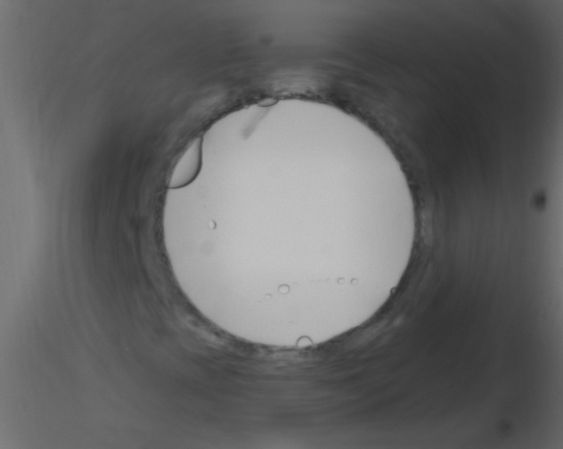 X0000115811393200912241904