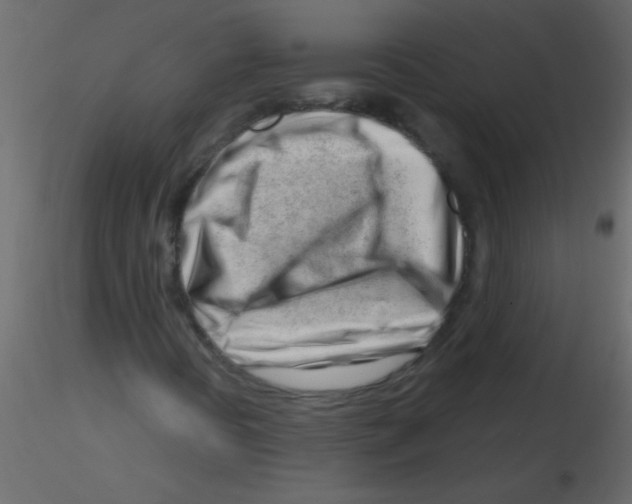 X0000115811394200912241904