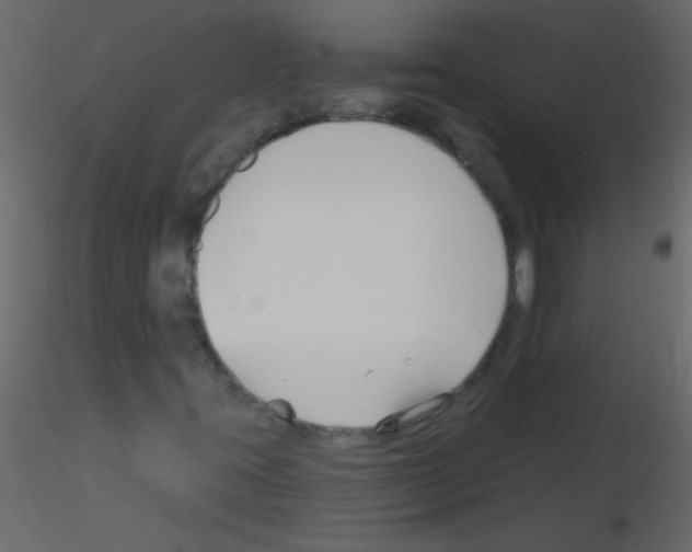 X0000115811395200912241904