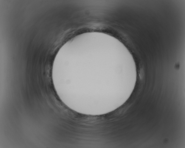 X0000115811396200912241904