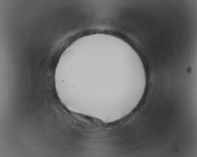 X0000115811398200912241904