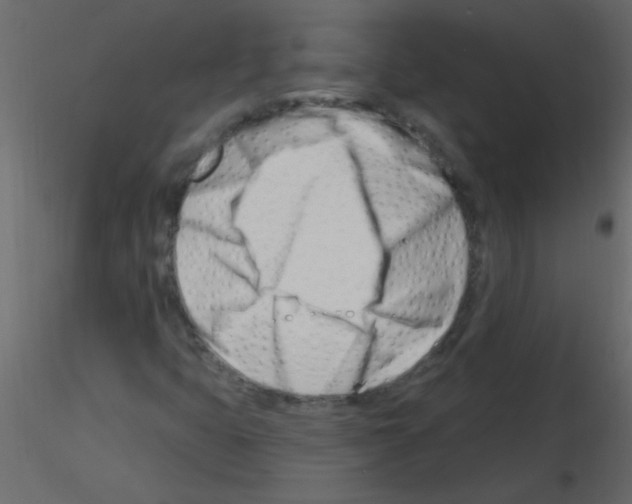 X0000115811399200912241904
