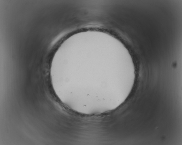 X0000115811400200912241904