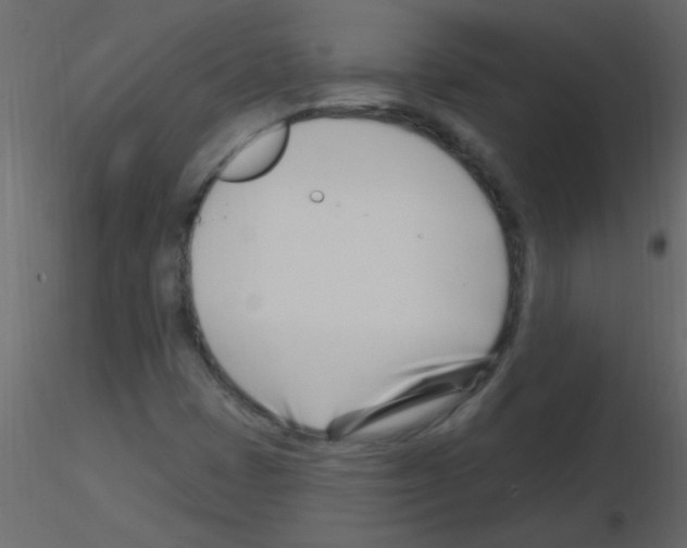 X0000115811401200912241904