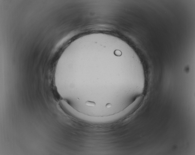 X0000115811402200912241904