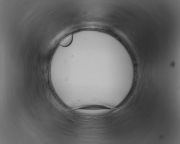 X0000115811403200912241904