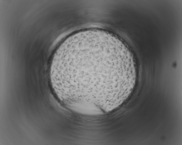 X0000115811404200912241904