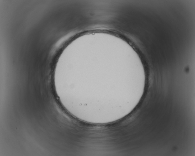 X0000115811406200912241904