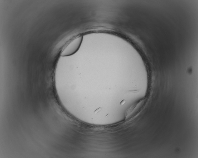 X0000115811407200912241904