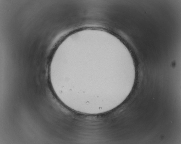 X0000115811408200912241904