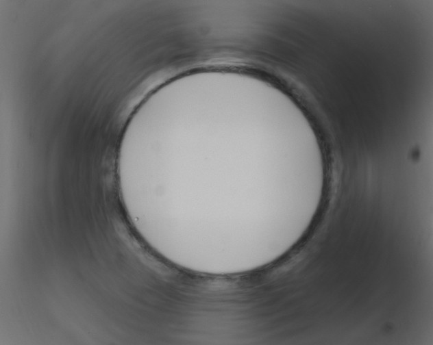 X0000115811409200912241904