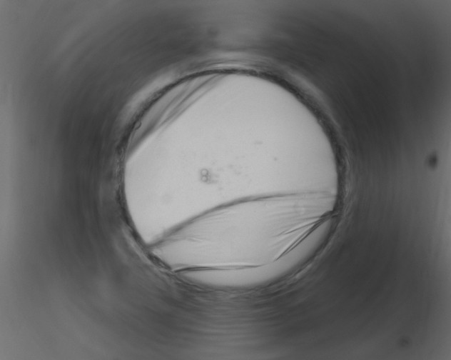 X0000115811411200912241904