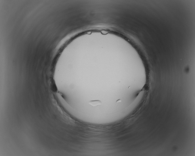 X0000115811412200912241904